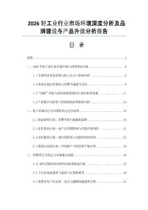 2026轻工业行业市场环境深度分析及品牌建设与产品升级分析报告