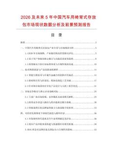 2026及未来5年中国汽车用椅背式存放包市场现状数据分析及前景预测报告.docx