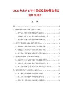 2026及未来5年中国螺旋掣链器数据监测研究报告.docx
