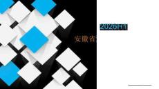2026H1安徽省汽车市场分析报告