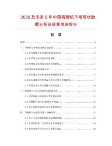 2026及未来5年中国弯脚机市场现状数据分析及前景预测报告.docx