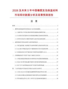 2026及未来5年中国橡塑发泡保温材料市场现状数据分析及前景预测报告.docx