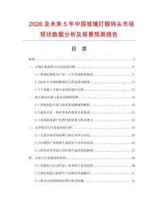 2026及未来5年中国玻璃打眼转头市场现状数据分析及前景预测报告.docx