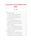 2026及未来5年充气灯笼项目可行性研究报告.docx