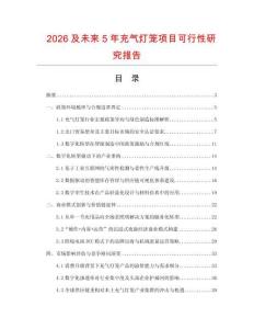 2026及未来5年充气灯笼项目可行性研究报告.docx