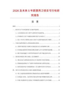 2026及未来5年厨房用刀项目可行性研究报告.docx