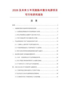 2026及未来5年双路脉冲激光电源项目可行性研究报告.docx