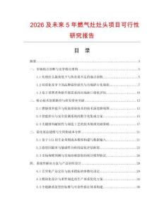 2026及未来5年燃气灶灶头项目可行性研究报告.docx