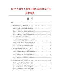 2026及未来5年铁片抛光刷项目可行性研究报告.docx