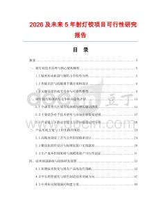 2026及未来5年射灯铰项目可行性研究报告.docx
