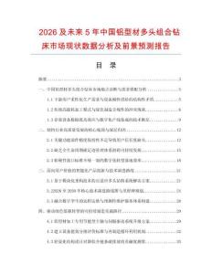2026及未来5年中国铝型材多头组合钻床市场现状数据分析及前景预测报告.docx