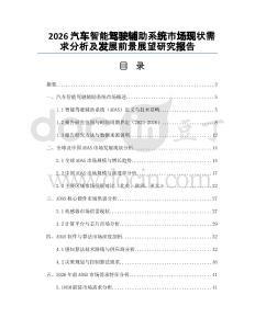 2026汽车智能驾驶辅助系统市场现状需求分析及发展前景展望研究报告