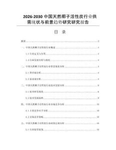 2026-2030中国天然椰子活性炭行业供需现状与前景趋势研究研究报告