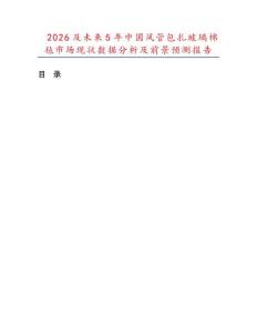 2026及未来5年中国风管包扎玻璃棉毡市场现状数据分析及前景预测报告.docx