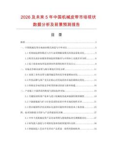 2026及未来5年中国机械皮带市场现状数据分析及前景预测报告.docx