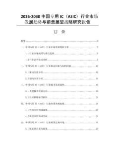 2026-2030中国专用IC（ASIC）行业市场发展趋势与前景展望战略研究报告