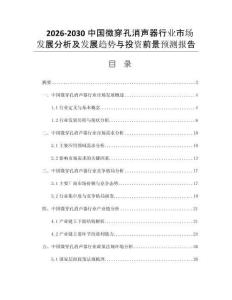 2026-2030中国微穿孔消声器行业市场发展分析及发展趋势与投资前景预测报告