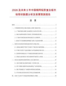 2026及未来5年中国钢网轻质复合板市场现状数据分析及前景预测报告.docx