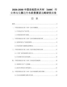 2026-2030中国自粘防水片材（SAM）行业市场发展趋势与前景展望战略研究报告