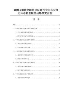 2026-2030中国系紧装置行业市场发展趋势与前景展望战略研究报告
