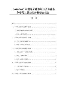 2026-2030中国爆米花市场经营效益及争格局发展趋势分析研究报告