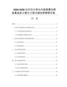 2026-2030锰铁行业市场现状供需分析及重点企业投资评估规划分析研究报告