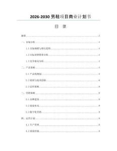 2026-2030男鞋项目商业计划书