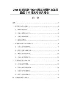 2026能源服务行业市场深度调研及发展趋势与市场策略研究报告
