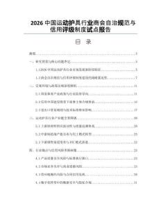 2026中国运动护具行业商会自治规范与信用评级制度试点报告