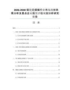 2026-2030煅烧无烟煤行业市场现状供需分析及重点企业投资评估规划分析研究报告