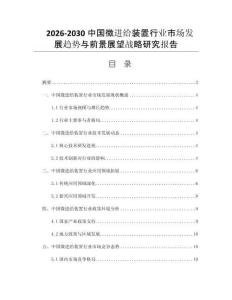 2026-2030中国微进给装置行业市场发展趋势与前景展望战略研究报告