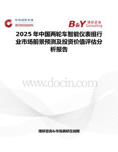 2025年中国两轮车智能仪表组行业市场前景预测及投资价值评估分析报告