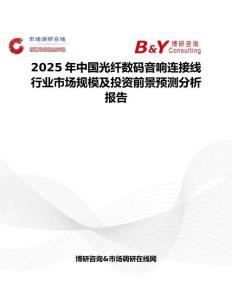 2025年中国光纤数码音响连接线行业市场规模及投资前景预测分析报告