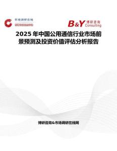 2025年中国公用通信行业市场前景预测及投资价值评估分析报告