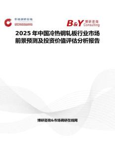 2025年中国冷热钢轧板行业市场前景预测及投资价值评估分析报告