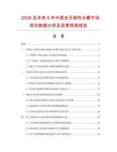 2026及未来5年中国全天候热水霸市场现状数据分析及前景预测报告.docx
