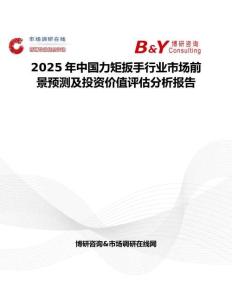 2025年中国力矩扳手行业市场前景预测及投资价值评估分析报告