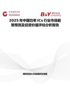 2025年中国功率ICs行业市场前景预测及投资价值评估分析报告