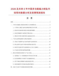 2026及未来5年中国多功能磁力线坠市场现状数据分析及前景预测报告.docx