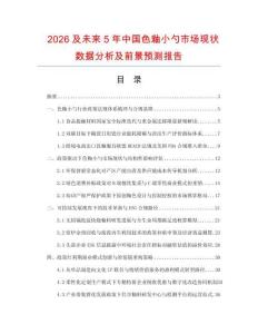 2026及未来5年中国色釉小勺市场现状数据分析及前景预测报告.docx