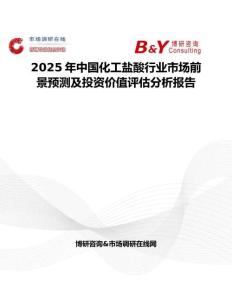 2025年中国化工盐酸行业市场前景预测及投资价值评估分析报告
