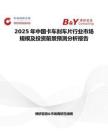2025年中国卡车刹车片行业市场规模及投资前景预测分析报告