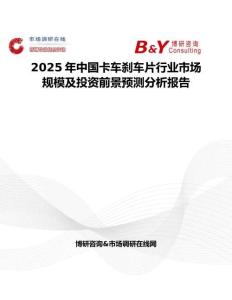2025年中国卡车刹车片行业市场规模及投资前景预测分析报告