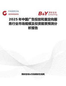 2025年中国广告投放和重定向服务行业市场规模及投资前景预测分析报告