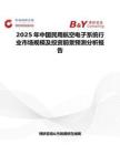 2025年中国民用航空电子系统行业市场规模及投资前景预测分析报告