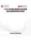 2025年中国火箭花炮行业市场规模及投资前景预测分析报告