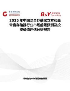 2025年中国混合存储器立方和高带宽存储器行业市场前景预测及投资价值评估分析报告