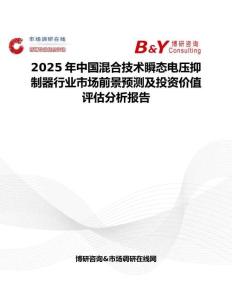 2025年中国混合技术瞬态电压抑制器行业市场前景预测及投资价值评估分析报告