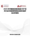 2025年中国混合模式制造ERP软件行业市场前景预测及投资价值评估分析报告