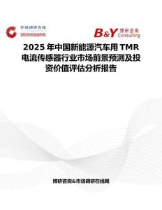 2025年中国新能源汽车用TMR电流传感器行业市场前景预测及投资价值评估分析报告